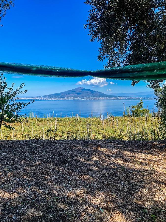 Antica Tenuta Celotto Vico Equense Dış mekan fotoğraf